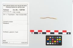 Etikett zu Textil (NHMW-PRAE-125785)